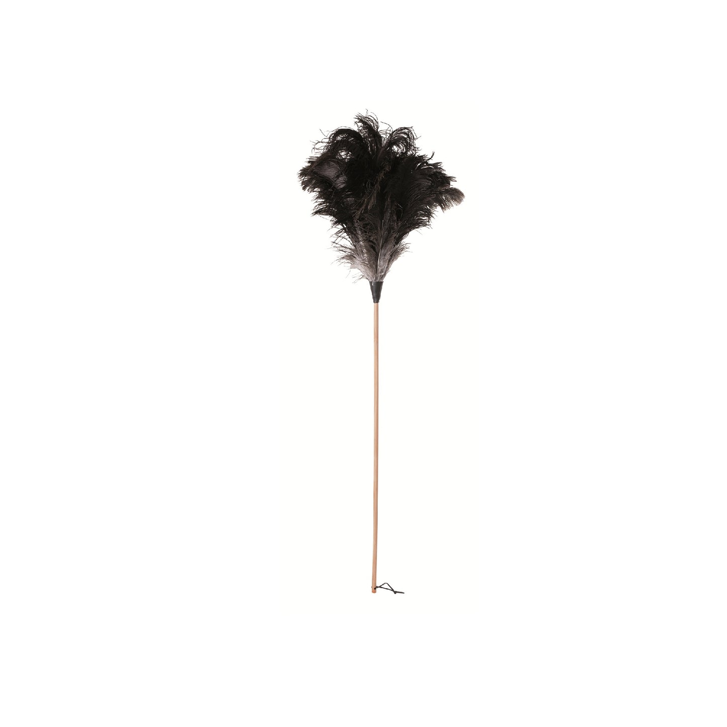 Ostrich Feather Duster with Beechwood Handle - 110cm
