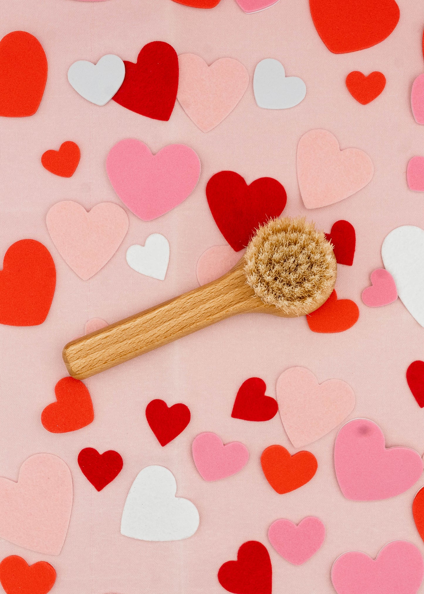 Mushroom Brush with Handle