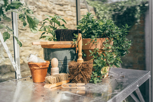 The Garden Season Opener