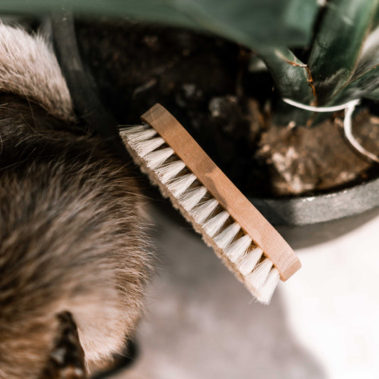 Scrubbing Brush with Tampico Fibre - '8' Shape