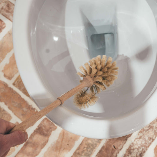 Loo Brush with Edge Cleaner