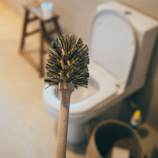 Loo Brush with Union Fibre - Large