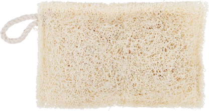 Loofah Dish Washing Sponge