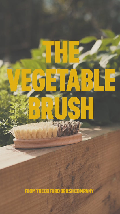 Vegetable Brush