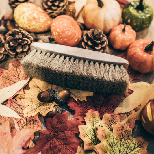 Shoe Shine Brush with Light Horsehair