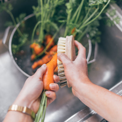 Vegetable Brush