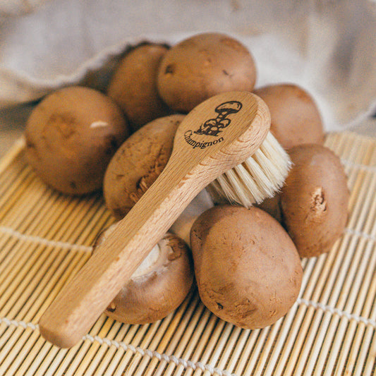 Mushroom Brush with Handle