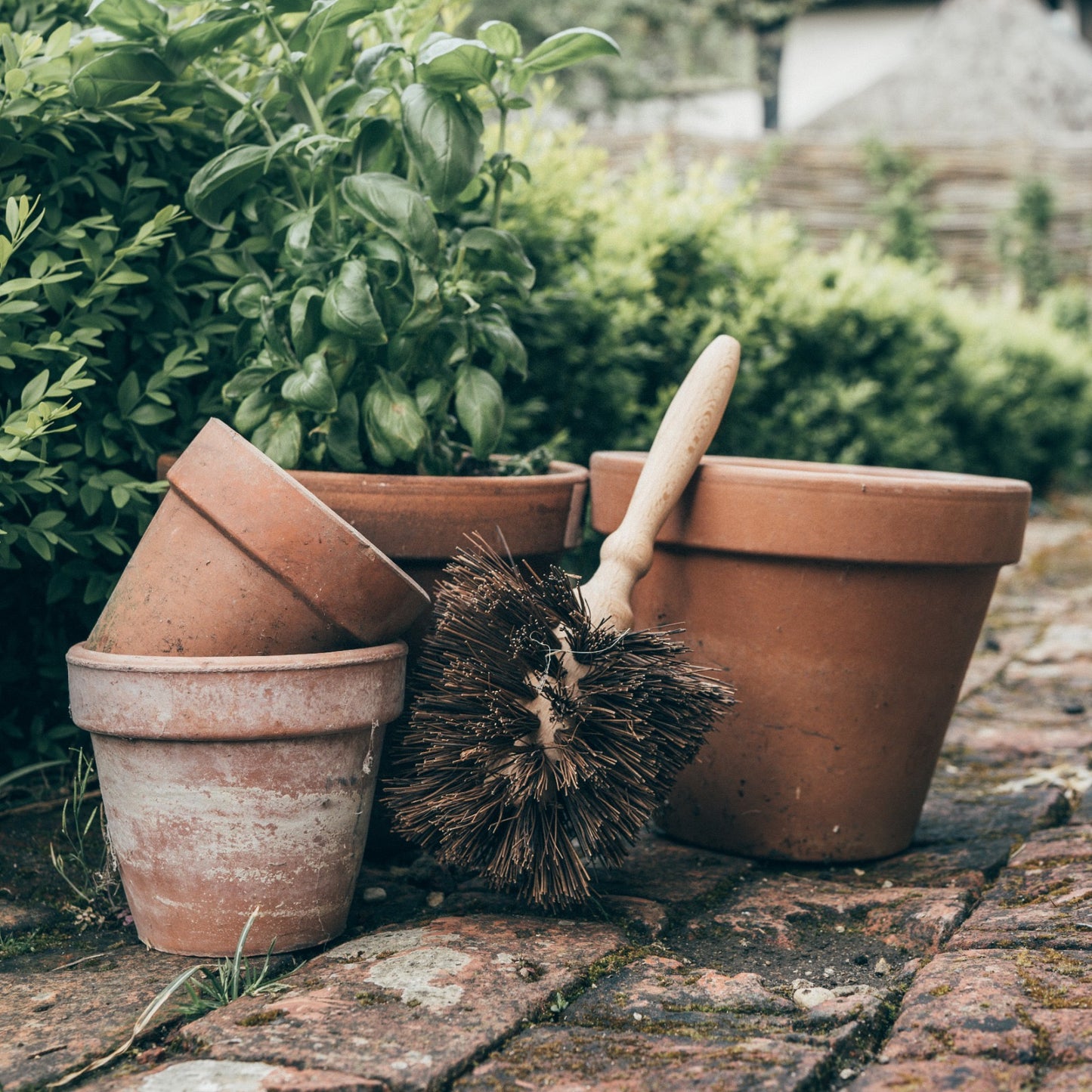 Flower Pot Brush